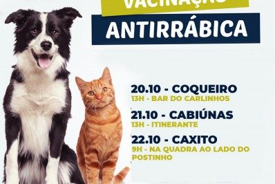 Vacinação antirrábica gratuita disponível no município