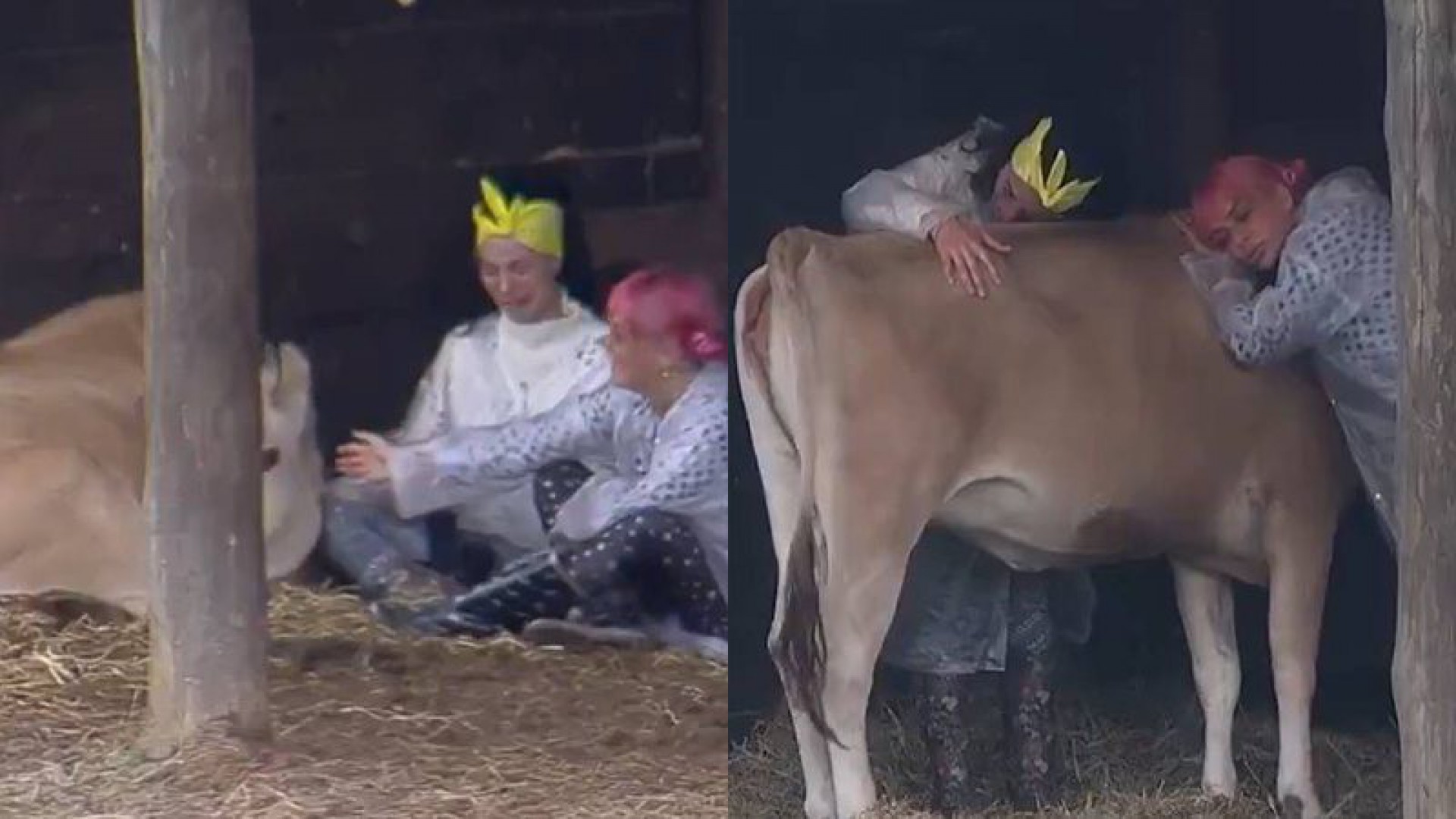 Aline Mineiro e Valentina Francavilla abraçam vaca em 'A Fazenda 13' - Reprodução/Instagram