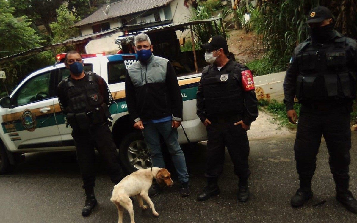 Agentes da Guarda Civil resgataram animais