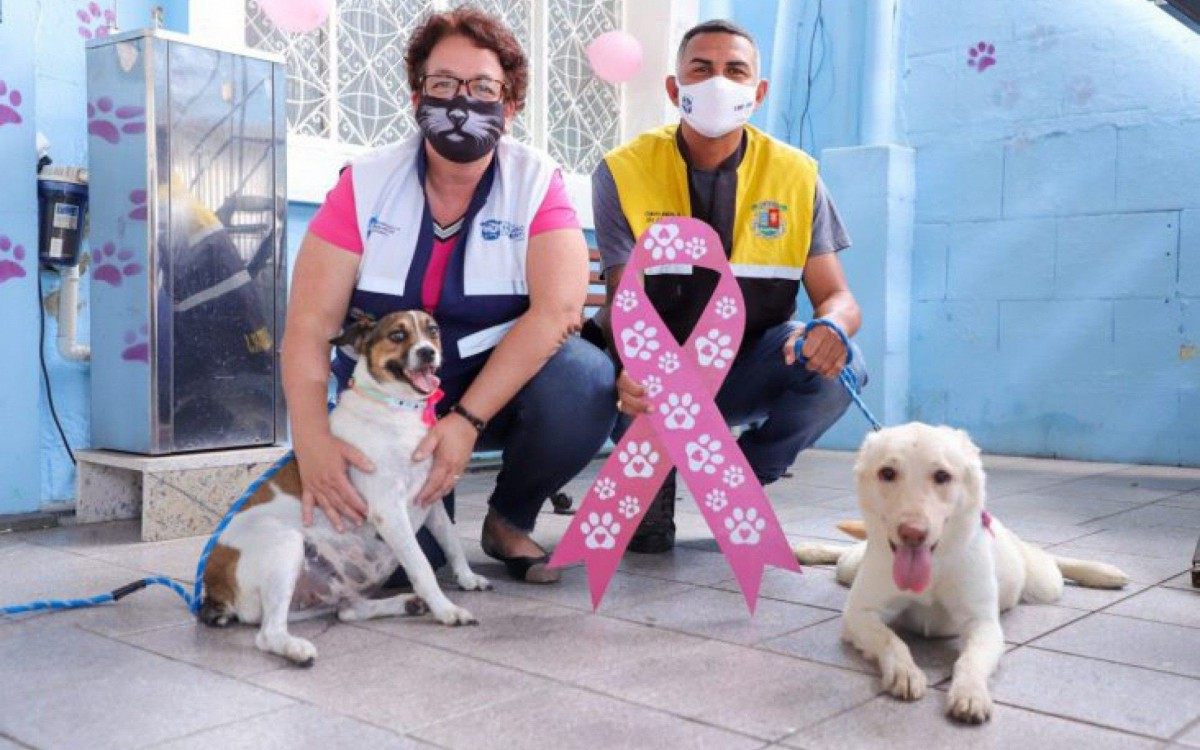 Subsecret&aacute;ria de Promo&ccedil;&atilde;o e Bem-Estar Animal, Luciene Maria, e vereador Magr&atilde;o 