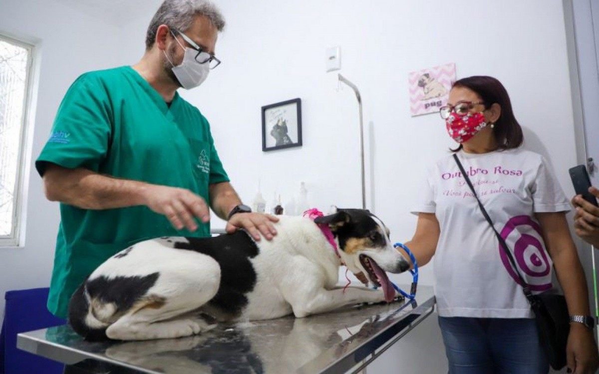 O agendamento do servi&ccedil;o &eacute; realizado pelo Petsapp, atrav&eacute;s do n&uacute;mero (21) 99813-3737, at&eacute; o dia 29/10