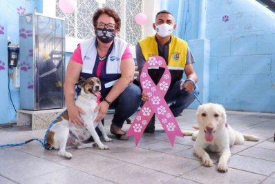 Outubro Rosa Pet: Meriti oferece exames preventivos gratuitos para cadelas e gatas