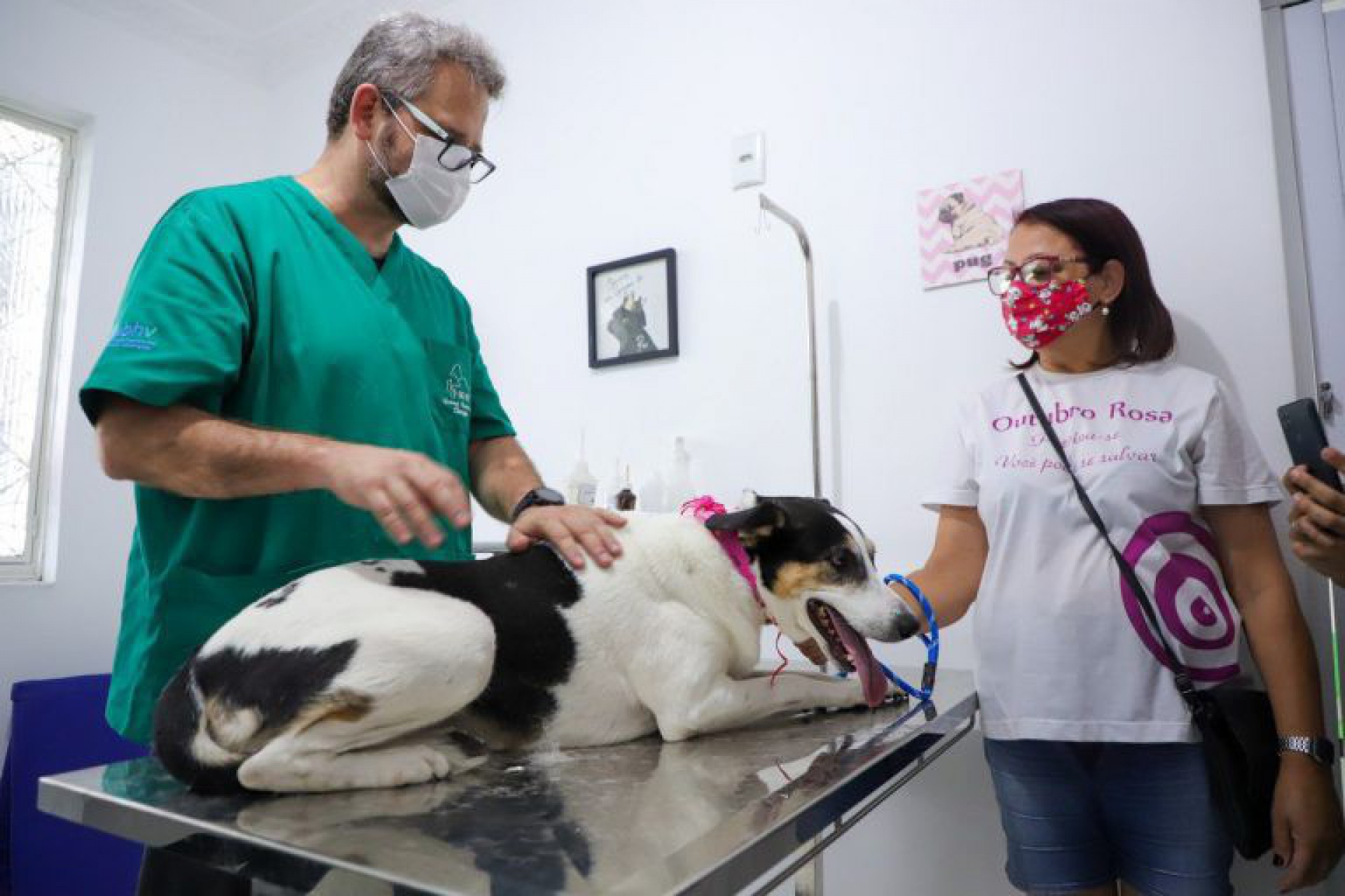 O agendamento do servi&ccedil;o &eacute; realizado pelo Petsapp, atrav&eacute;s do n&uacute;mero (21) 99813-3737, at&eacute; o dia 29/10 - Beto Franzen