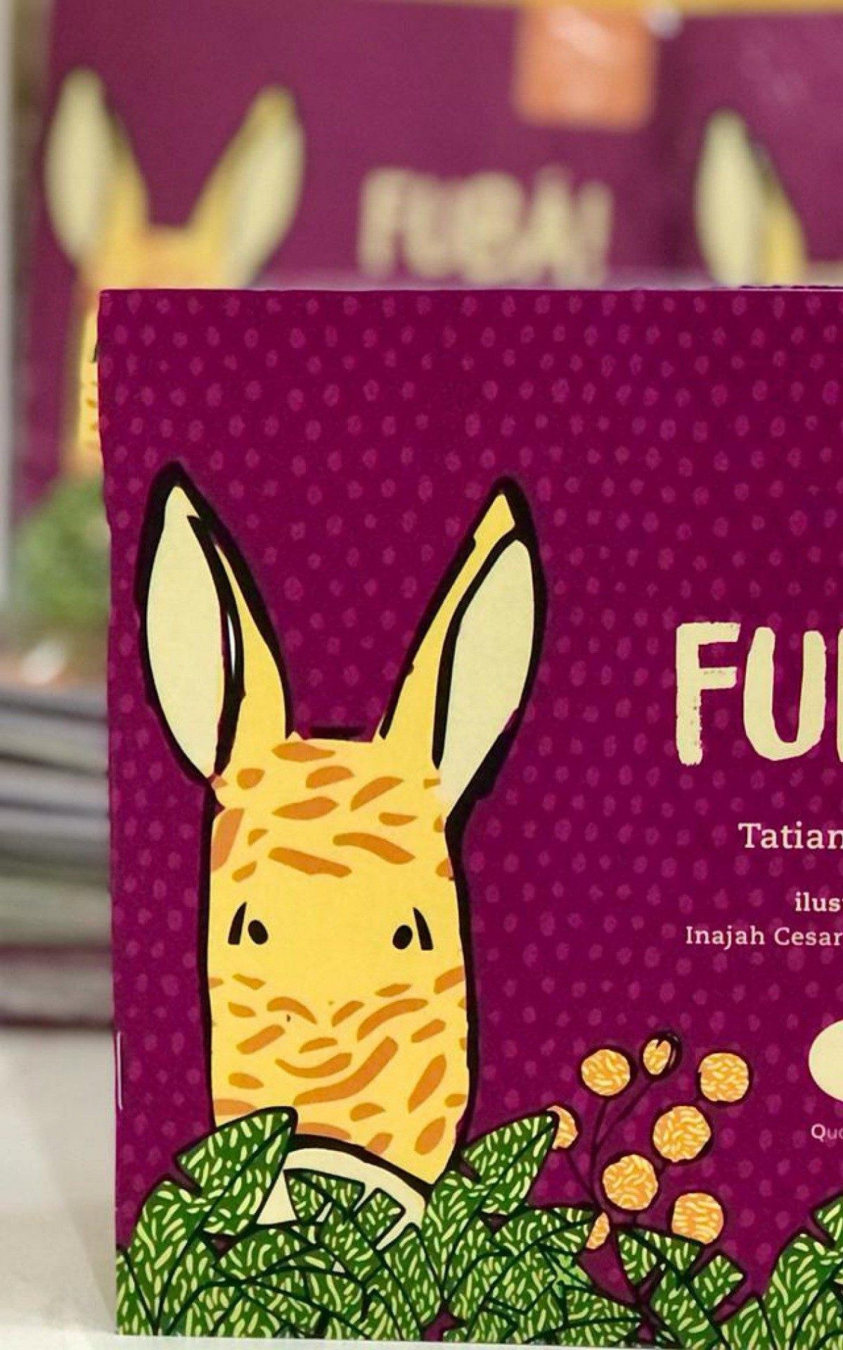 Shoppings v&atilde;o doar livros da autora Tatiana Kauss