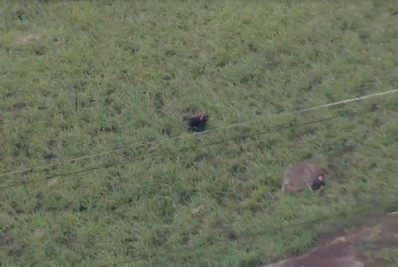 Suspeitos em fuga são baleados por PMs durante perseguição em comunidade da Zona Norte