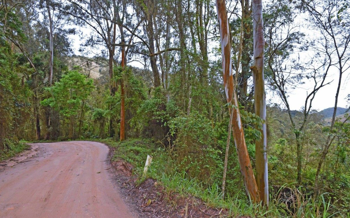 Parque ser&aacute; destinado ao lazer e a projetos ambientais
