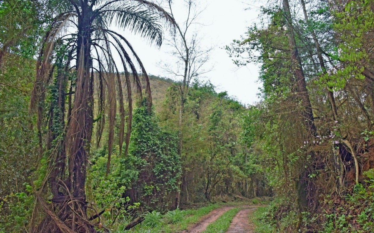 Parque ser&aacute; destinado ao lazer e a projetos ambientais
