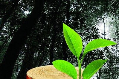 Bispo Aber Ferreira: O que passou, passou. Siga em frente!