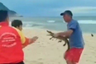 Homem usa jacaré como arma durante briga na praia