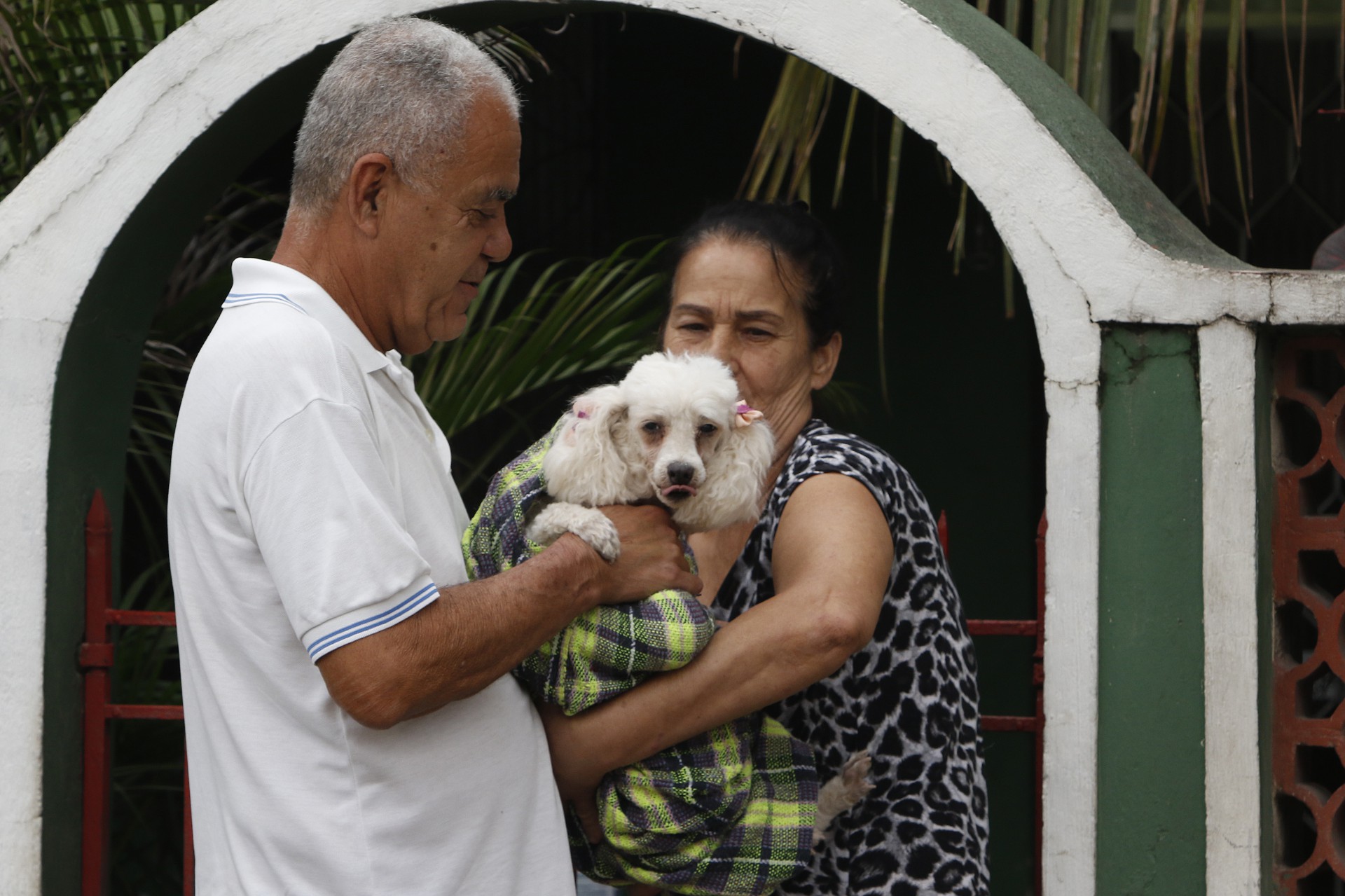 Pr&eacute;dio desaba em Nil&oacute;polis, na baixada fluminense, deixando um morto e tr&ecirc;s feridos  - Reginaldo Pimenta / Ag&ecirc;ncia O Dia