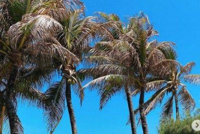 Thaila Ayala exibe o barrigão de gravidez em clique feito por Renato Góes