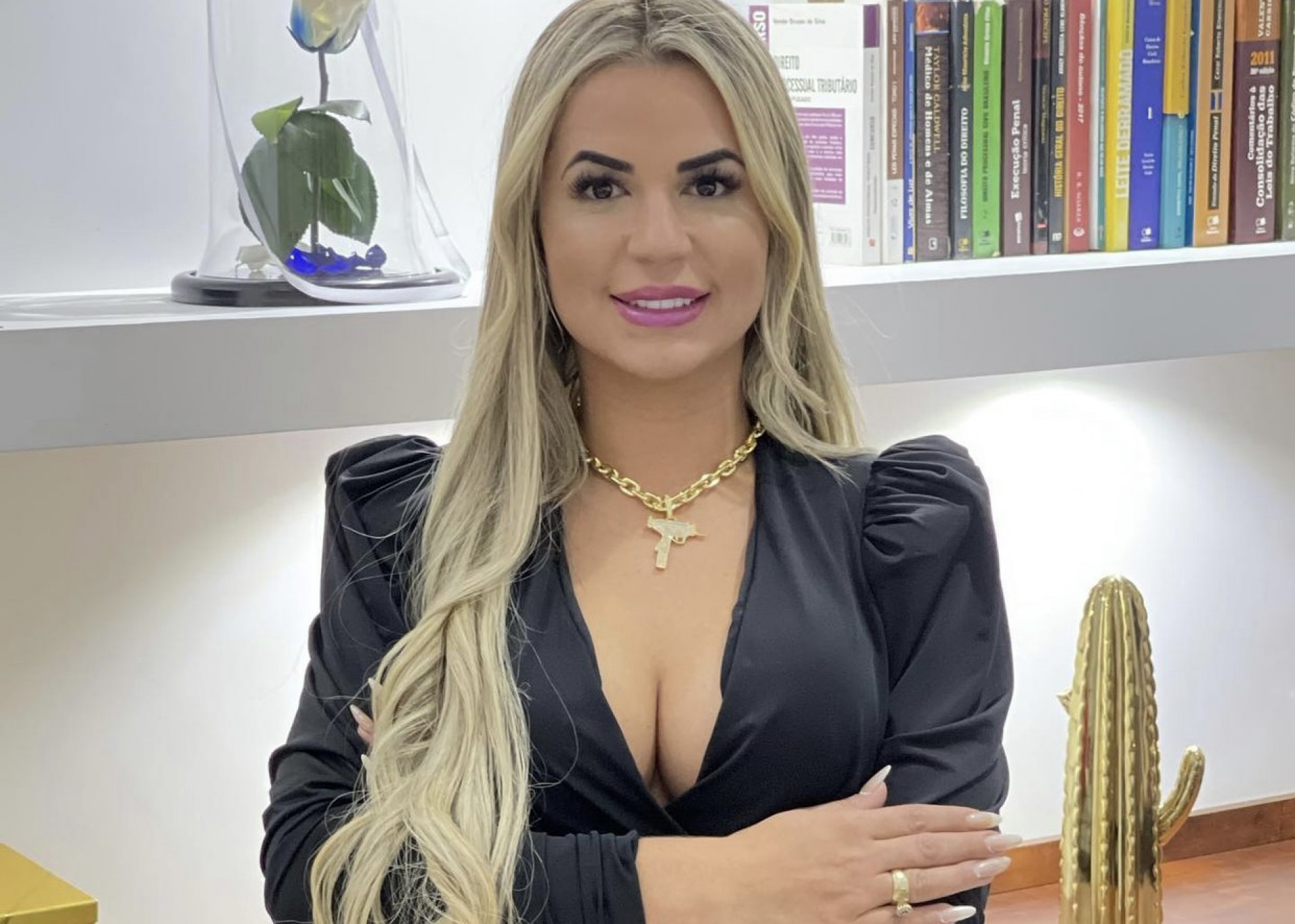 Advogada usará as peças em festa de aniversário - Reprodução