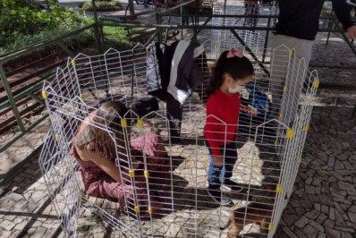 Posse recebe 1ª etapa da campanha de Adoção de Animais nos distritos 