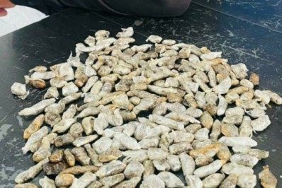 PM apreende drogas em Cabo Frio