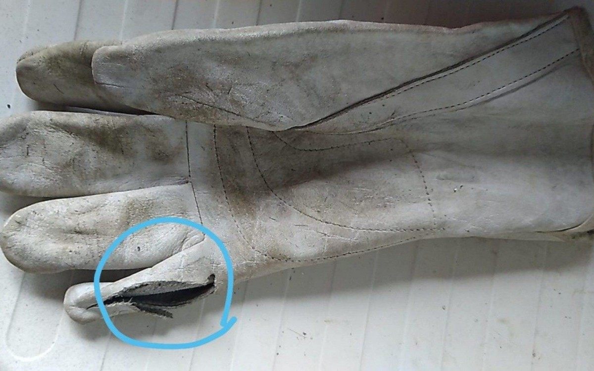 Luva foi rasgada pela unha do animal assustado com equipe de resgate 