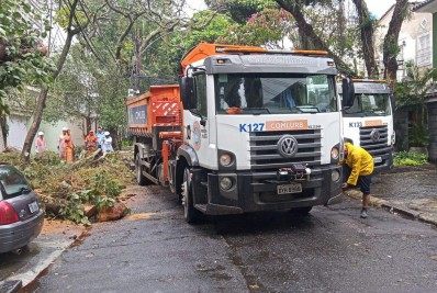 Queda de árvore interdita parcialmente pista no Grajaú