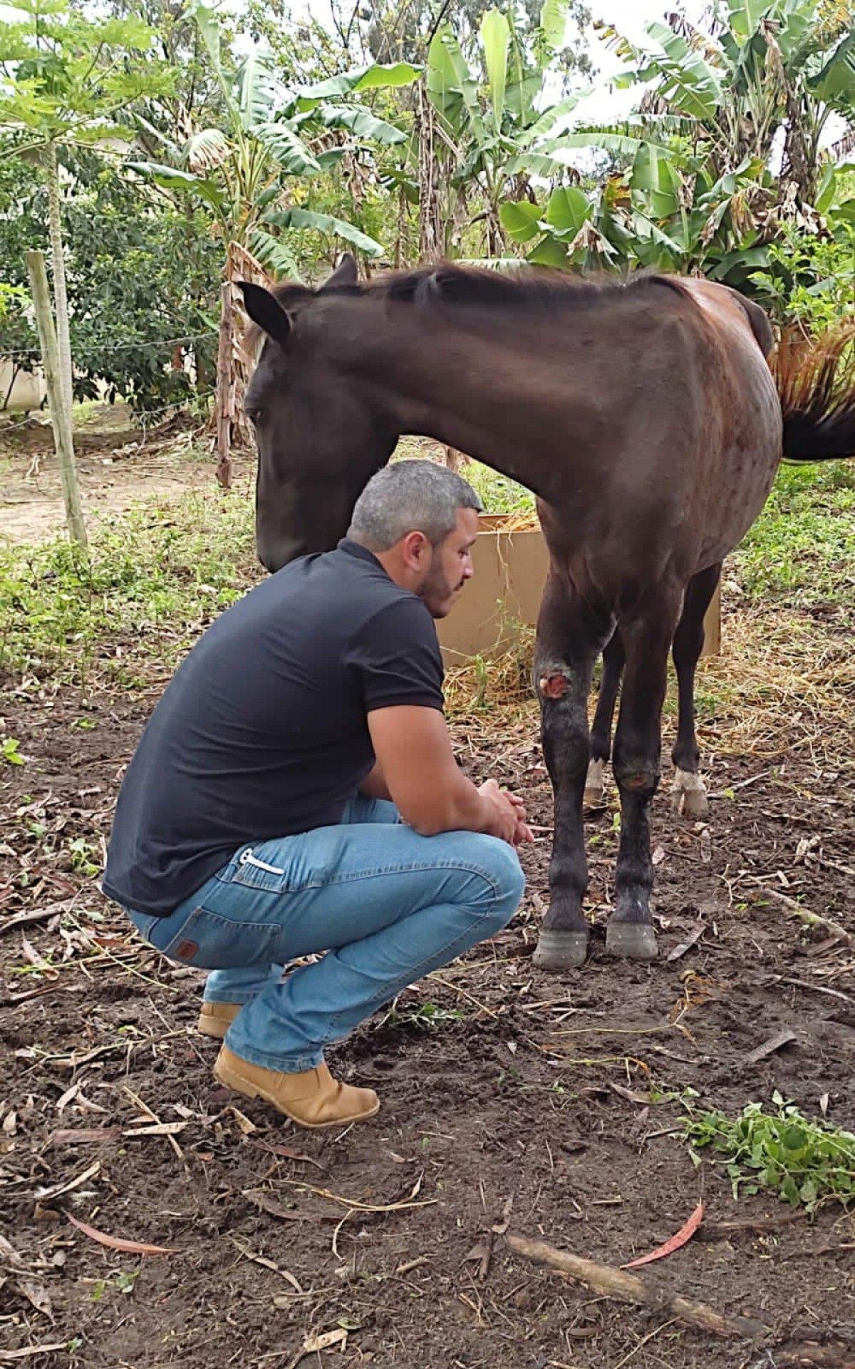 Animais tamb&eacute;m receberam atendimento veterin&aacute;rio