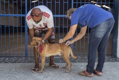 Vacinação antirrábica chega em mais bairros de Caxias; Veja os locais
