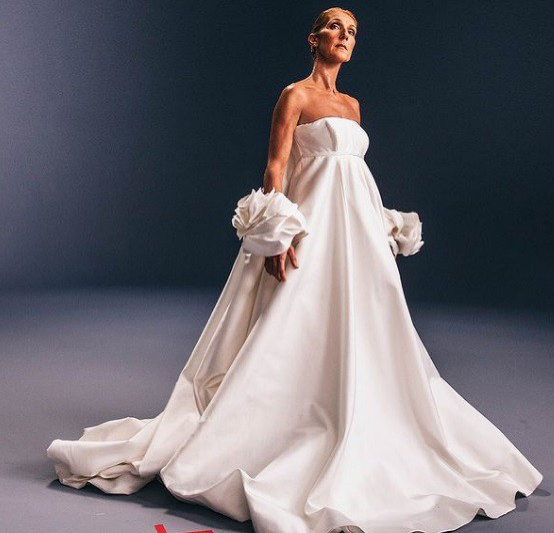 Celine Dion - Reprodução Internet