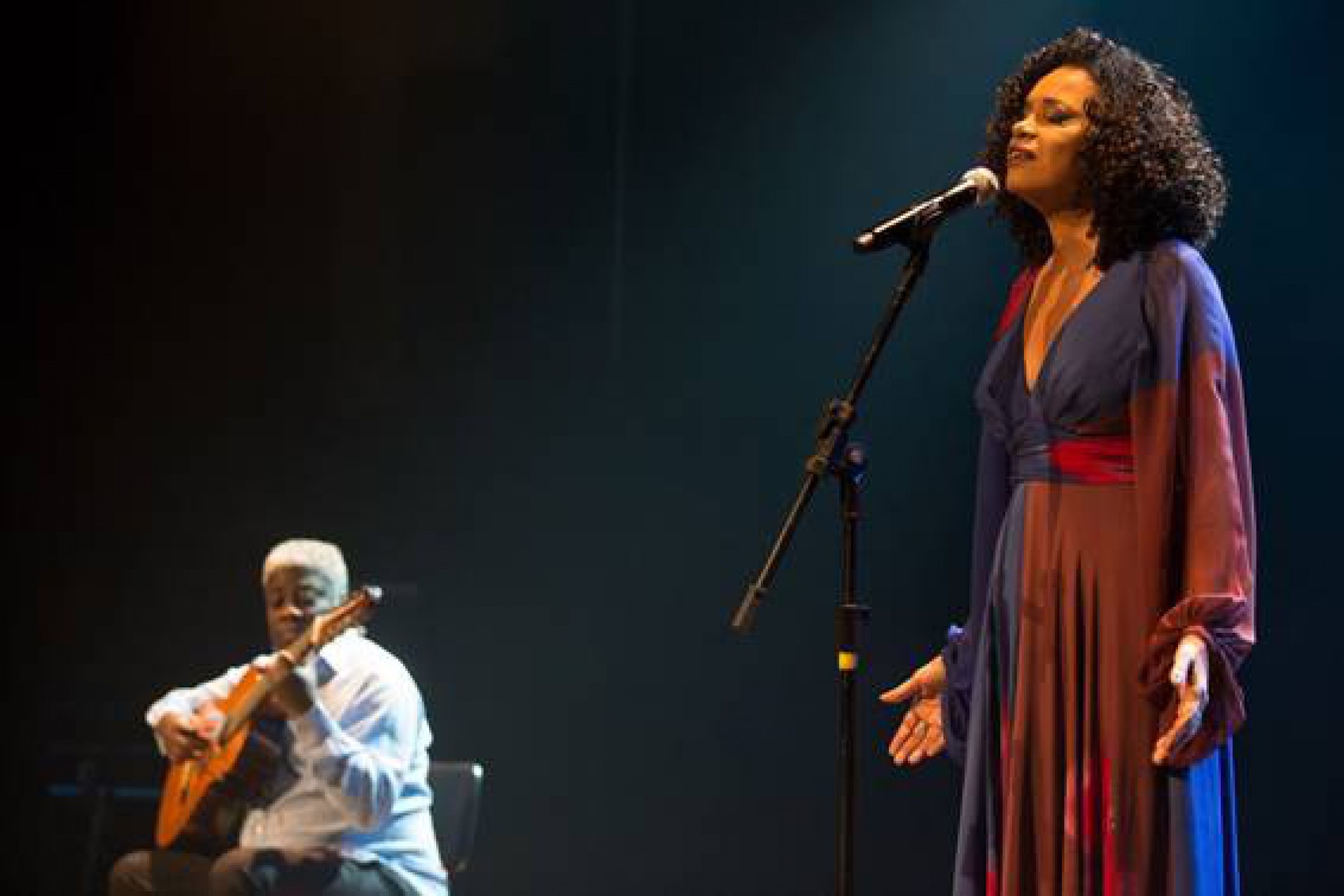 Teresa Cristina - Reprodução