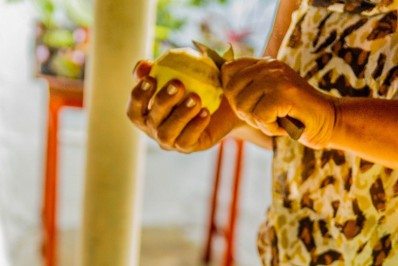 Prefeitura de Tanguá promove a abertura da Feira Livre neste sábado (06/11)