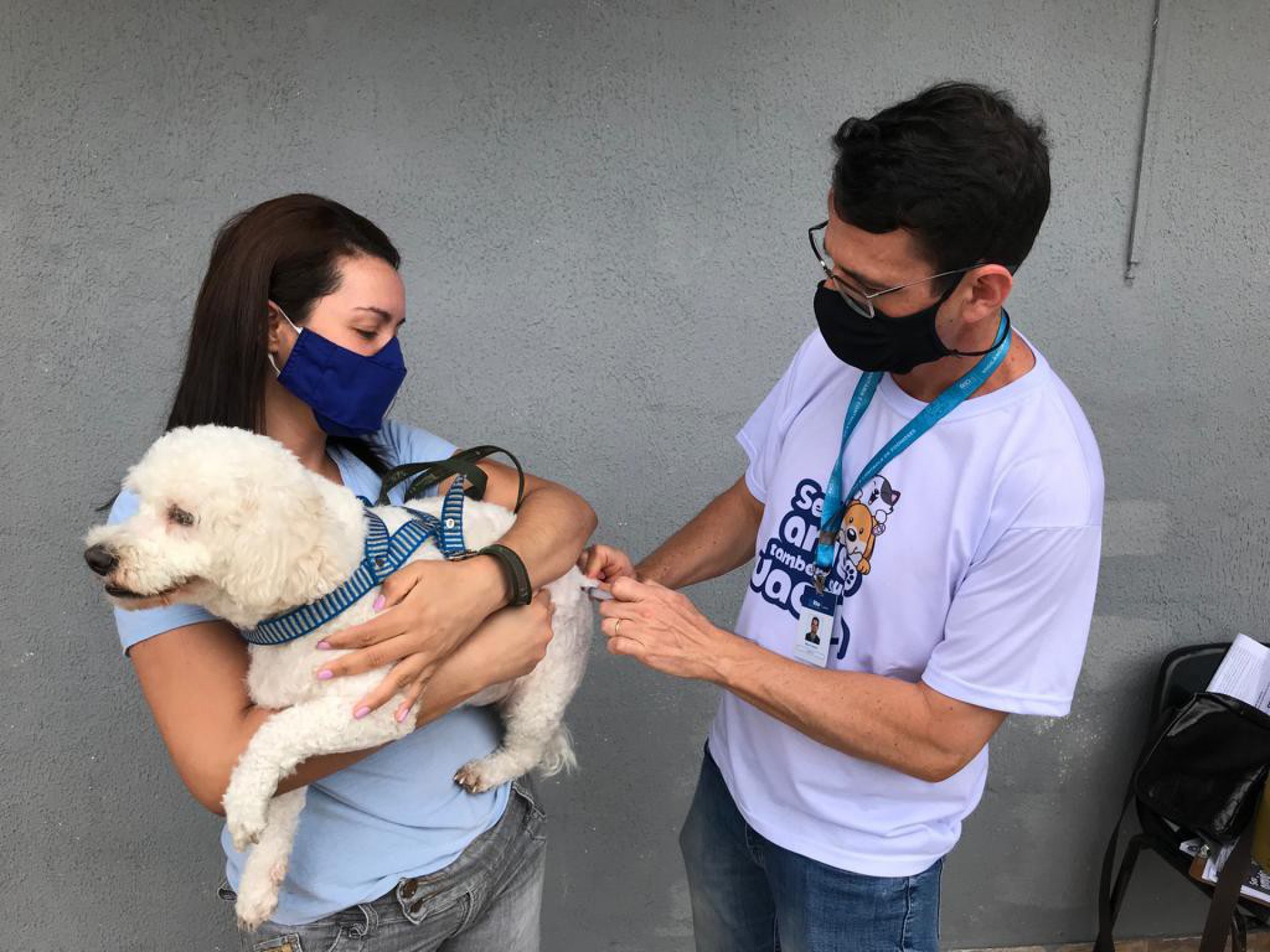 Nas três primeiras etapas, que contemplaram a região do Centro, Zona Norte e parte da Zona Oeste, foram vacinados mais de 284 mil cães e gatos - Divulgação