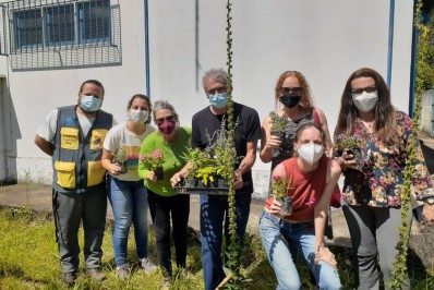 Unidades de saúde realizam cultivo de plantas medicinais em Petrópolis
