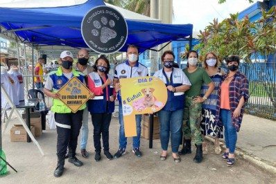 Dia P: terceira edição do evento voltado aos cuidados com os animais realiza mais de 900 atendimentos em Meriti