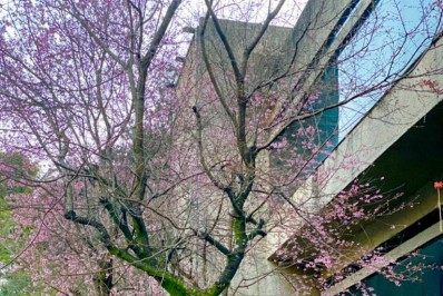 Prazo para inscrição nos concursos de poesia e desenho com o tema 