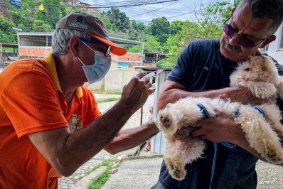 Belford Roxo imuniza 264 animais no bairro Jardim Ideal II