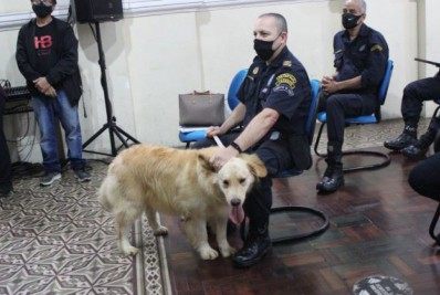 Prefeito Hingo Hammes sanciona lei que cria, oficialmente, canil da Guarda Civil Municipal