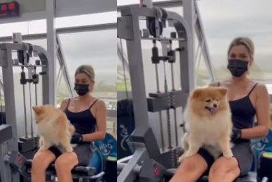 Alerta fofura! Flávia Alessandra mostra companheiro de treino em vídeo