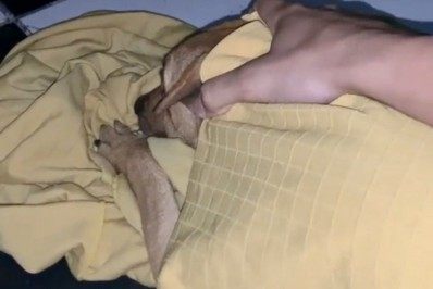 RUIM ATÉ PRA CACHORRO!