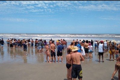 Aumento de pessoas no mar pode explicar mais ocorrências com tubarões