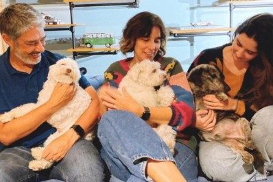 William Bonner e a mulher resgatam cachorrinho em estrada