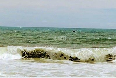 Baleia visita praia de Zacarias e deixa pescadores encantados  