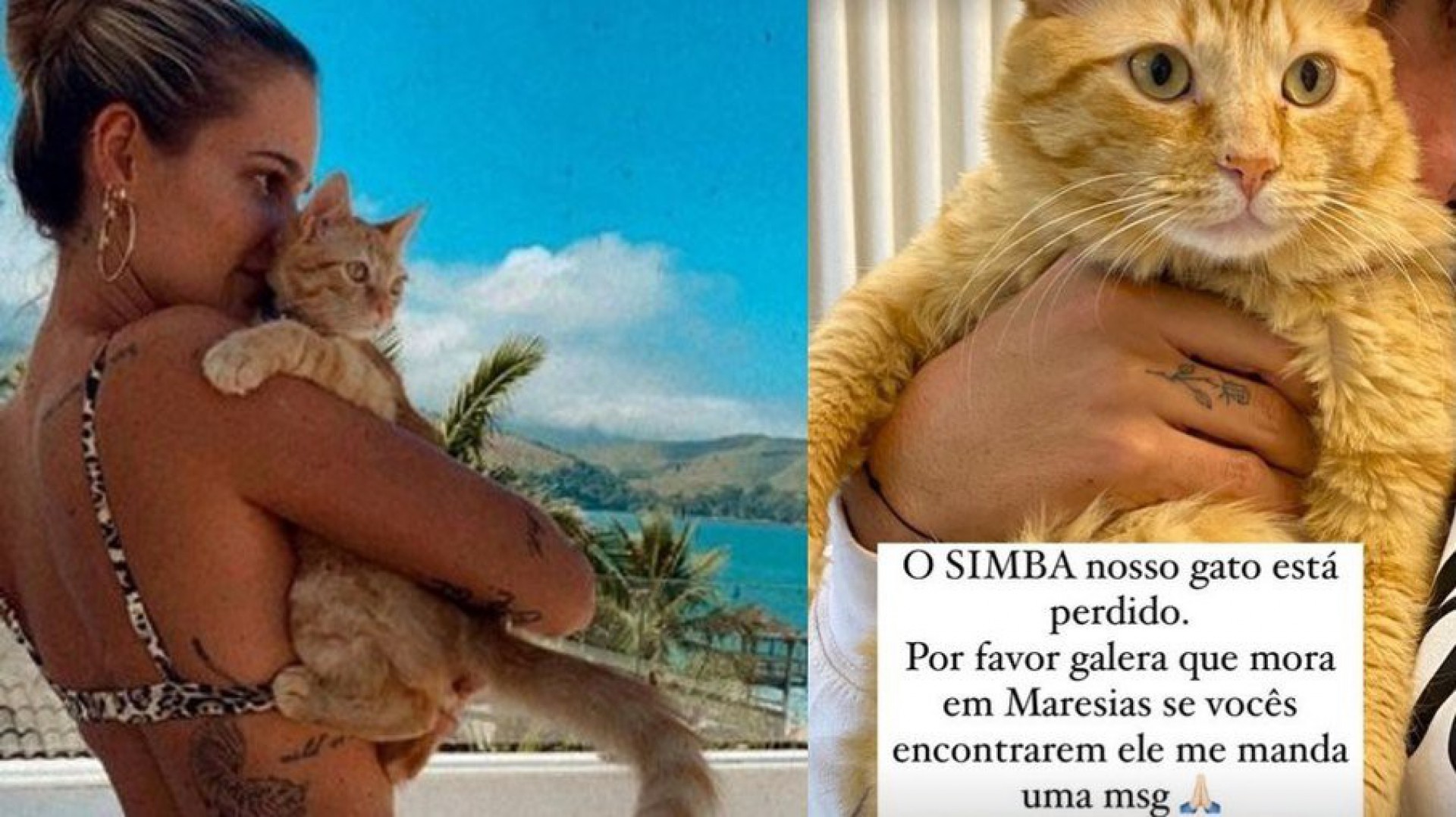 Yasmin Brunet relata desaparecimento de gato - Reprodução/Instagram