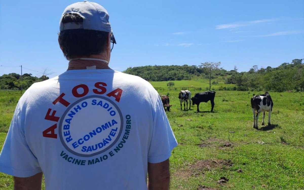 Criadores do munic&iacute;pio recebem gratuitamente as doses da vacina