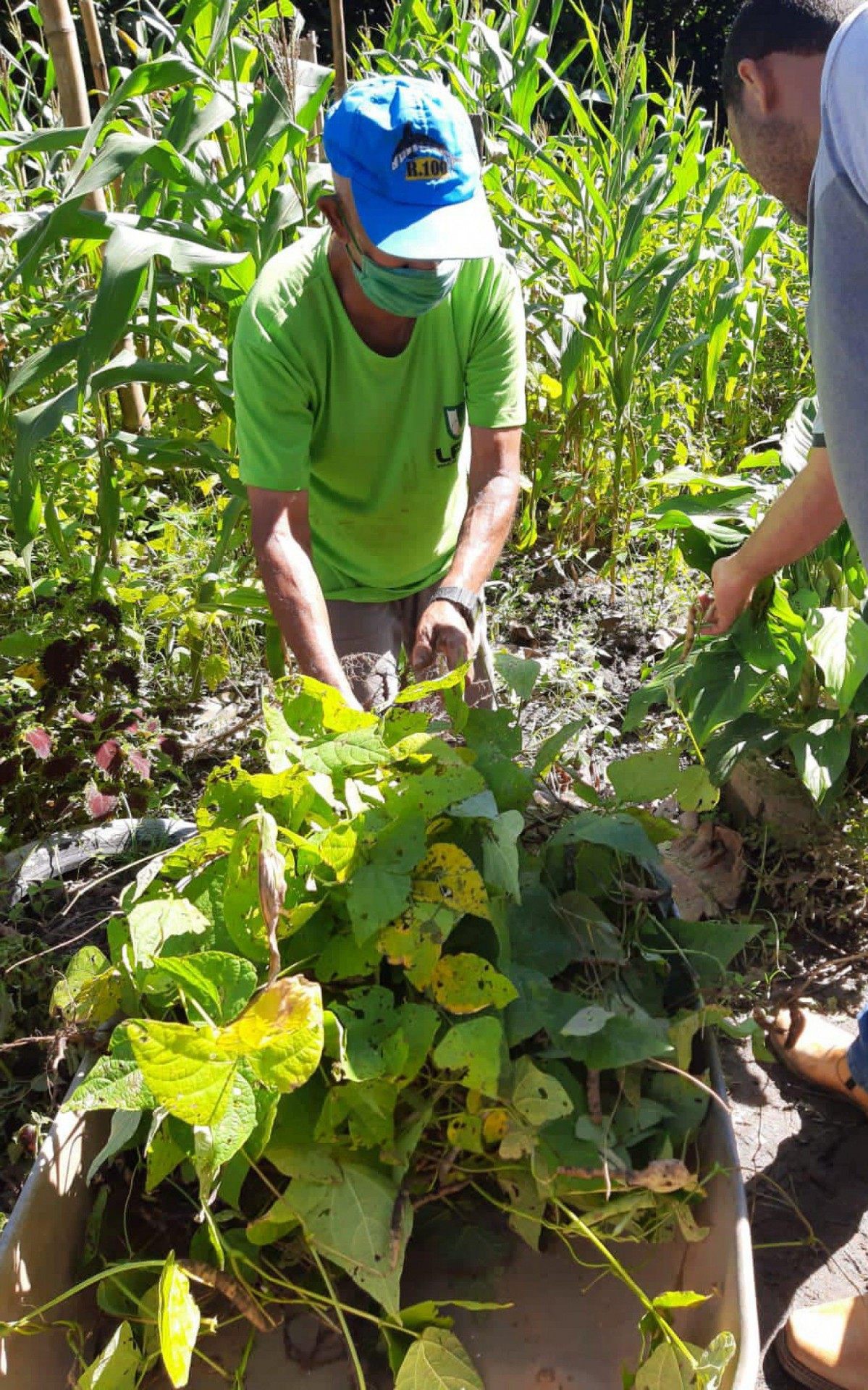 Abrigos de Saquarema recebem alimentos produzidos no Centro Agr&iacute;cola Municipal
