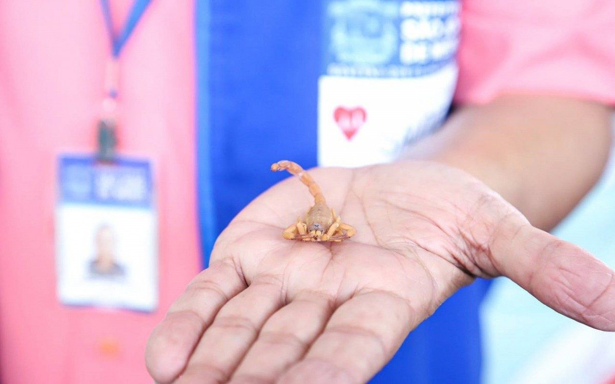 Dia do Agente de Combate &agrave;s Endemias, em S&atilde;o Jo&atilde;o de Meriti