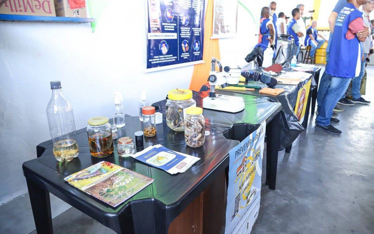 Dia do Agente de Combate &agrave;s Endemias, em S&atilde;o Jo&atilde;o de Meriti