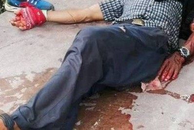 Vídeo: homem é atacado ao se aproximar de crocodilo após achar que animal era de plástico