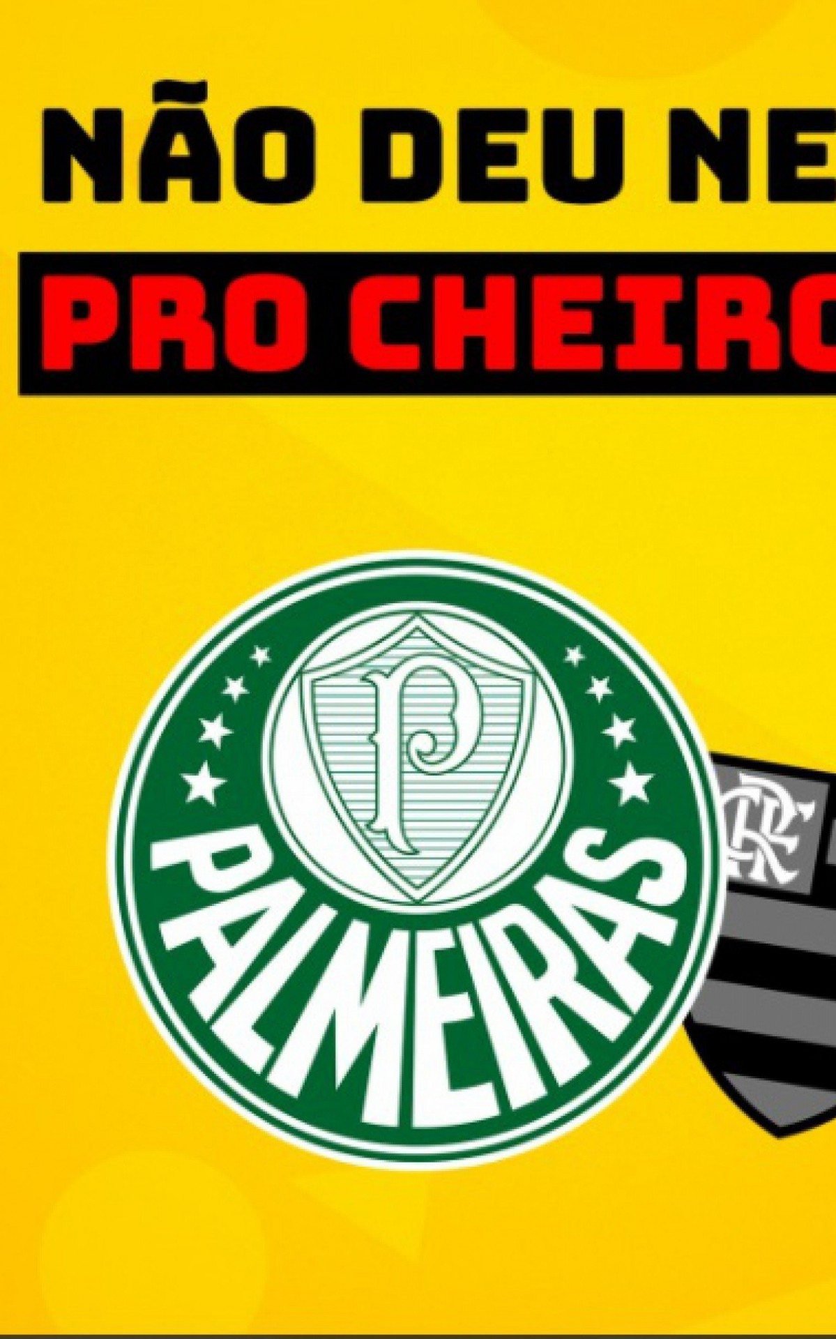 Palmeiras: classificação para a final da Libertadores gera memes