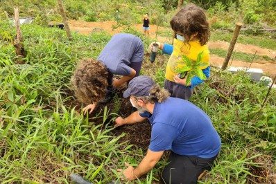Inea organiza plantação de 350 mudas de espécies nativas da Mata Atlântica em Nova Friburgo