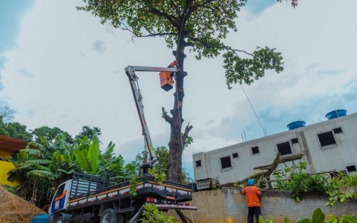 Secretaria municipal de Defesa Civil esteve no local realizando a poda de algumas &aacute;rvores