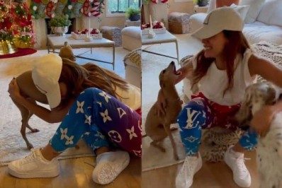 Vídeo! Após breve passagem pelo Brasil, Anitta volta aos EUA e é recebida por seus pets