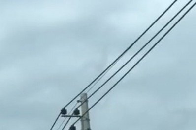 Vídeo: urubu é morto a tiros que partiram próximos de viatura da PM