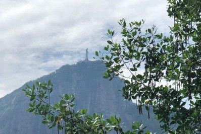 A verdadeira árvore de Natal da Lagoa, segundo Mário Moscatelli