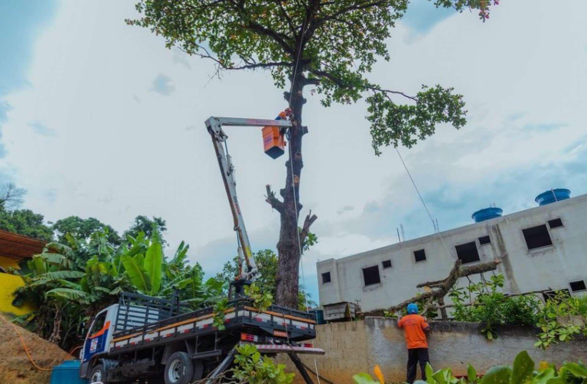 Secretaria municipal de Defesa Civil esteve no local realizando a poda de algumas &aacute;rvores - Divulga&ccedil;&atilde;o