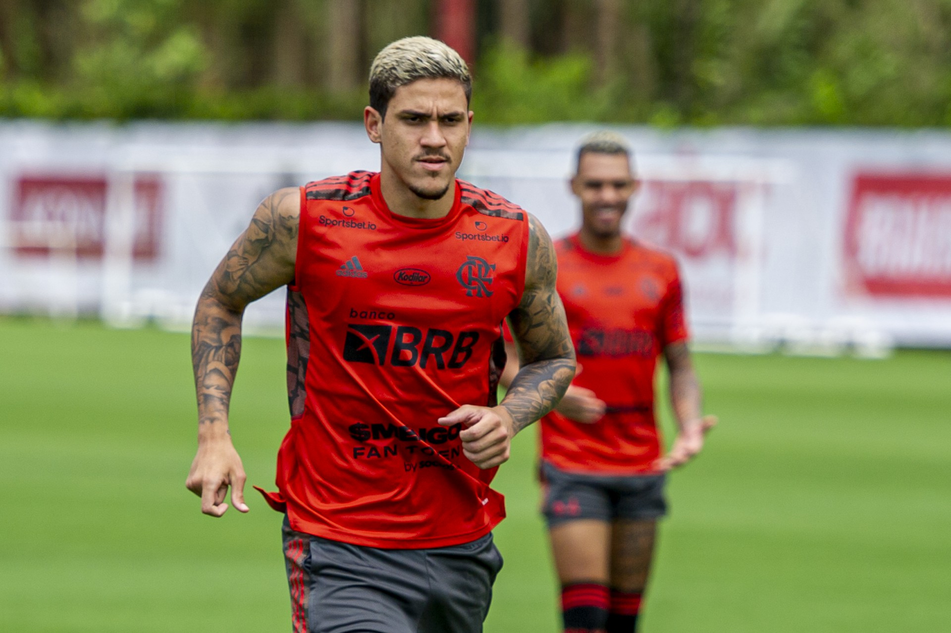 Pedro será titular contra o Sport - Marcelo Cortes / Flamengo